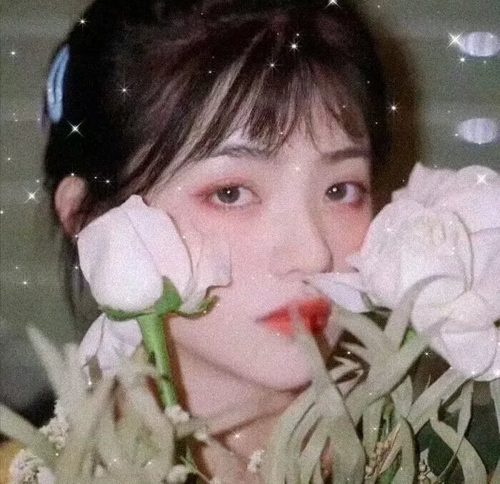 独立少年合唱团